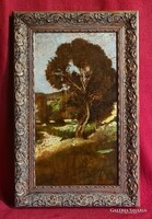 Aggházy Gyula (1850 - 1919) : Domboldal