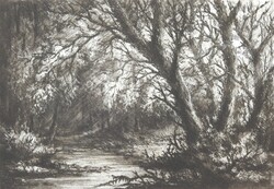 (N) Paulovits Pál (1892-1975) : Patak az erdőben