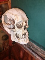 Old school illustration tool skull