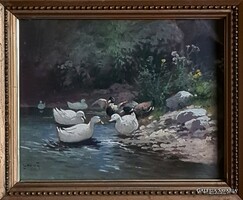 Zorkóczy Gyula: Kacsák