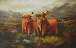 (K) James Levin Henry (1855-1929) : Skót felföldi marhák