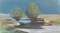 Csizmadia Zoltán: Borús táj