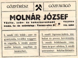 Számla, jegyzék: Molnár József gőzfűrész, gőzfavágó, Szeged. (reklám)