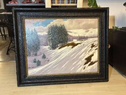 Olgyai Viktor: Havas Domboldal