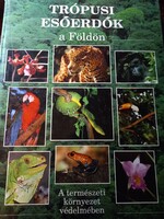 Trópusi esőerdők a földön