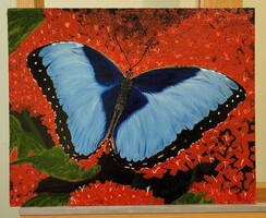 Olaj festmény, címe: Kék pille 30x24 cm