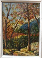 ÚJ AKCIÓ!!!  Szignózott  (Boldizsár I.) olaj - vászon tájkép