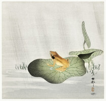 65*63 cm-es, Ohara Koson, vintage ázsiai alkotás reprintje, poszter, plakát, reprodukció