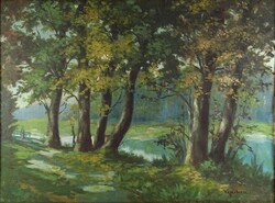 1Y515 Vásárhelyi jelzéssel : Nyári folyópart 80 x 60 cm
