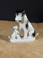 Fasold & Stauch Bock Wallendorf Fox terrier kutyák