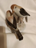 Madár páros nagyon régi