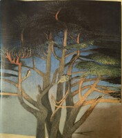 Csontváry Kosztka Tivadar műveit bemutató könyv eladó