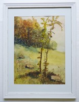 TURMAYER SÁNDOR : ŐSZI TÁJ