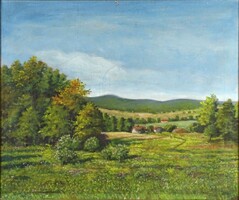 1Y595 Végvári Greckó : Nyári hegyek 67.5 x 56 cm