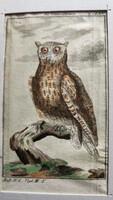 1787 RÉZ METSZET KIS FÜLES BAGOLY KÉP Buffon Georges Louis Le Clerc de : Naturgeschichte der Vögel