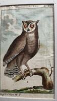 1787 METSZET MAGDANIAN UHU BAGOLY KÉP Buffon Georges Louis Le Clerc de : Naturgeschichte der Vögel
