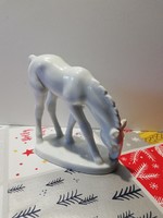 Herendi csikó - ló