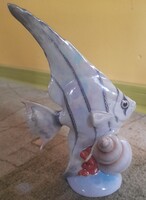 Kőbányai vitorlás hal