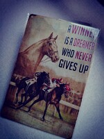 Lovas fém dekoráció tábla 20*30 cm.