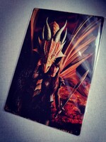 Fantasy fém dekoráció tábla 20*30 cm.