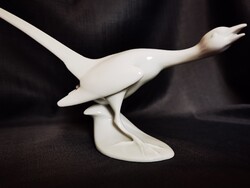 Herendi fehér mázas fácán