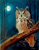 Dabronaki Bagoly holdfénynél 50x40 cm olaj-vászon
