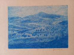 Gross arnold etching: hillside / early, rare coloration