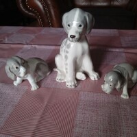 LOMONOSZOV KUTYA kölykeivel!