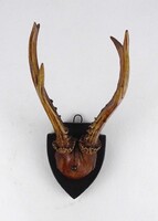 1W956 Régi őz agancs trófea fa talapzaton