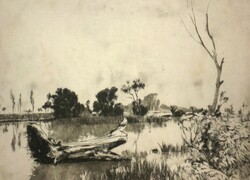 (K)  Gy. Molnár István (1933-2010) : Holt vidék