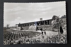 Balaton Badacsony SZOT étterem képeslap