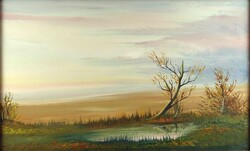 1Y503 Jelzett olaj vászon festmény : Őszi táj 69.5 x 43.5 cm