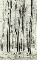 1Y507 Régi Vincze János (1922-1999) fotográfia : Havas fák
