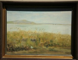 (N) Detrői Ernő (1925-) : Nádas (Balaton)