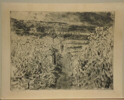 - Aszódi Weil Erzsébet (1901-1976) : Mákföldön