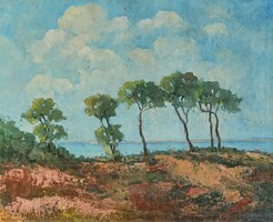 (N) Ismeretlen festő (20.sz.első fele) : Vízparti fák