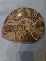 Nagy méretü fosszilia csigaházzal,tökélete állaptban,19X15.cm.