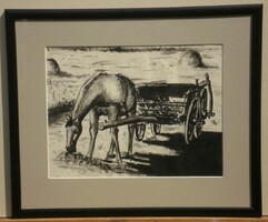 (K) Ismeretlen festő (20.sz.közepe) : Legelésző ló