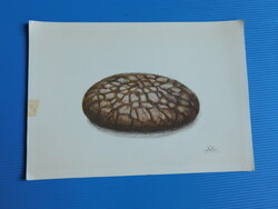 Finn Képeslap / Művészlap - Asta Moro: "On Leipää" azaz "Van kenyér"  17x12cm