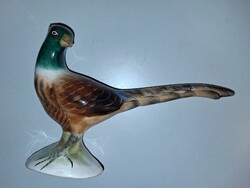 Porcelán fácán Bodrogkeresztúri fácán