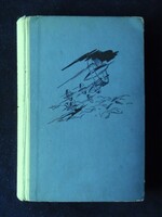 Botond-Bolics György: Ezer év a Vénuszon