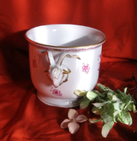 NAGYMÉRETŰ CSODÁS JUBILEUMI APPONYI MINTÁS KOSFEJES HERENDI KASPÓ