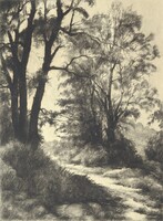 + Arató Gyula : Őszi fák