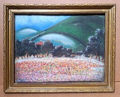 AKCIÓ! CSAK 9 EZER FT: Virágos rét a domboldalban (keretezett kép) Varázslatos természeti táj