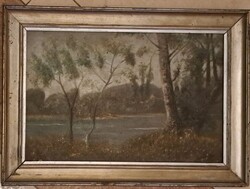 XIX.Magyar festő Mednyánszky ? : „Csendes vízpart az erdő mélyén