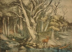 + Zugor Sándor : Öreg erdő