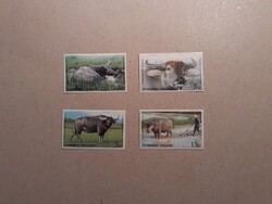 Thaiföld - Fauna, bivalyok 2005