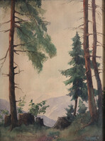 Schwerak Rossrucker Lipót 1943. Hochschneeberg Burgenland Hochwolkersdorf Alpesi táj fenyő erdő