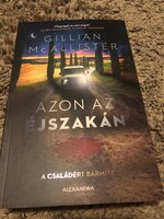 Gillian McAllister -  Azon az éjszakán