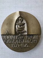 Ligeti Erika:A Szoc.magyar gyógyszerellátásért.1950-1975.